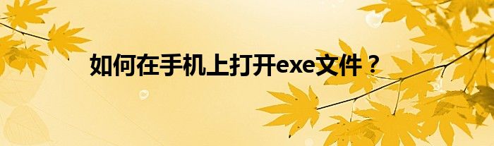如何在手机上打开exe文件？