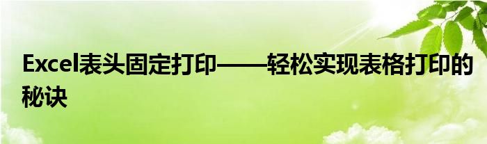 Excel表头固定打印——轻松实现表格打印的秘诀