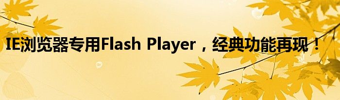 IE浏览器专用Flash Player，经典功能再现！