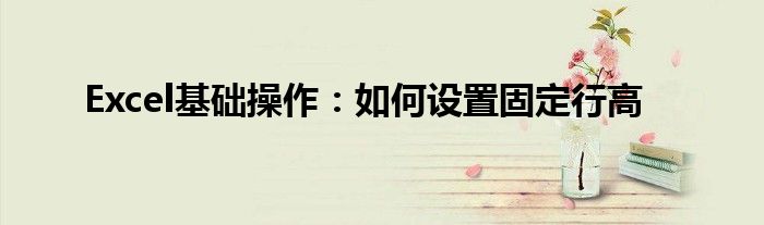 Excel基础操作：如何设置固定行高