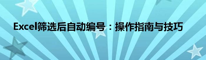 Excel筛选后自动编号：操作指南与技巧
