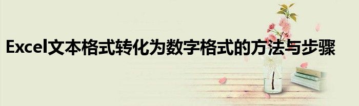 Excel文本格式转化为数字格式的方法与步骤