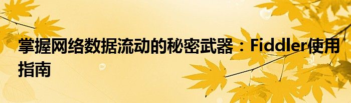 掌握网络数据流动的秘密武器：Fiddler使用指南