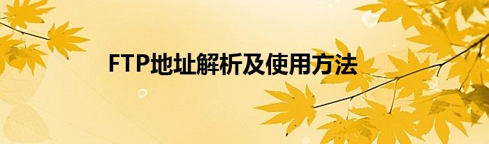 FTP地址解析及使用方法