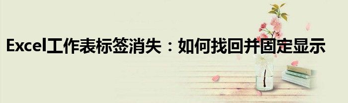 Excel工作表标签消失：如何找回并固定显示