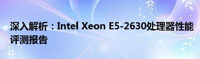 深入解析：Intel Xeon E5-2630处理器性能评测报告