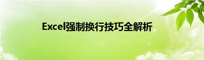 Excel强制换行技巧全解析