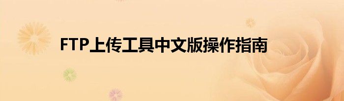 FTP上传工具中文版操作指南