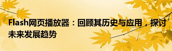Flash网页播放器：回顾其历史与应用，探讨未来发展趋势