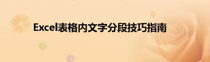 Excel表格内文字分段技巧指南