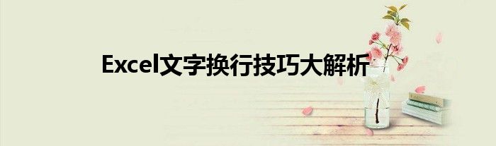 Excel文字换行技巧大解析