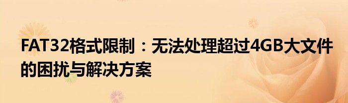 FAT32格式限制：无法处理超过4GB大文件的困扰与解决方案
