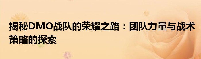 揭秘DMO战队的荣耀之路：团队力量与战术策略的探索