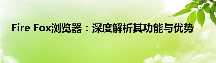 Fire Fox浏览器：深度解析其功能与优势