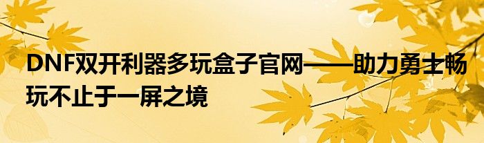 DNF双开利器多玩盒子官网——助力勇士畅玩不止于一屏之境
