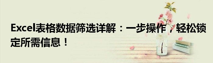 Excel表格数据筛选详解：一步操作，轻松锁定所需信息！
