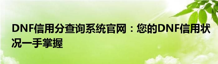 DNF信用分查询系统官网：您的DNF信用状况一手掌握