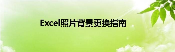 Excel照片背景更换指南