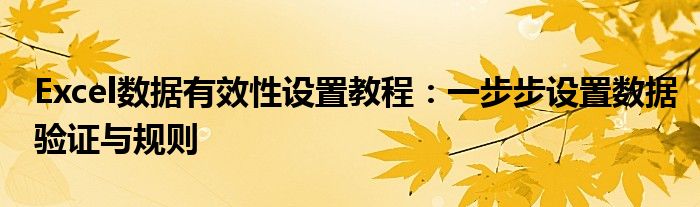 Excel数据有效性设置教程：一步步设置数据验证与规则