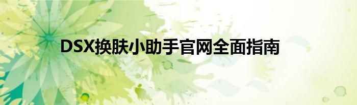 DSX换肤小助手官网全面指南