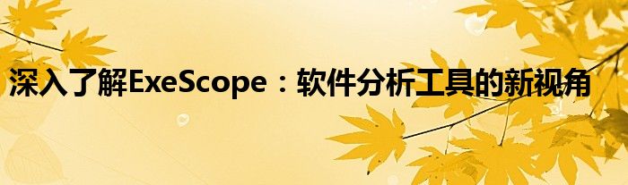 深入了解ExeScope：软件分析工具的新视角