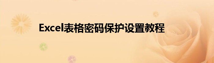 Excel表格密码保护设置教程