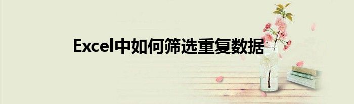 Excel中如何筛选重复数据