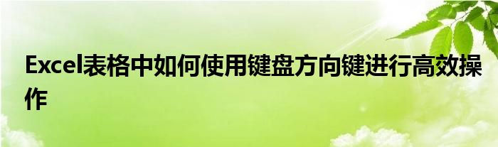 Excel表格中如何使用键盘方向键进行高效操作