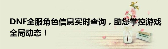 DNF全服角色信息实时查询，助您掌控游戏全局动态！