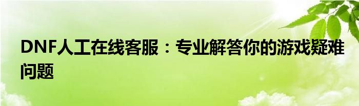 DNF人工在线客服：专业解答你的游戏疑难问题
