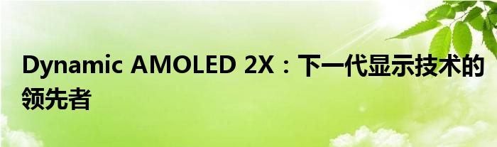 Dynamic AMOLED 2X：下一代显示技术的领先者