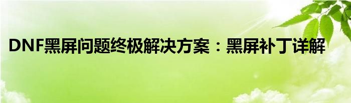 DNF黑屏问题终极解决方案：黑屏补丁详解