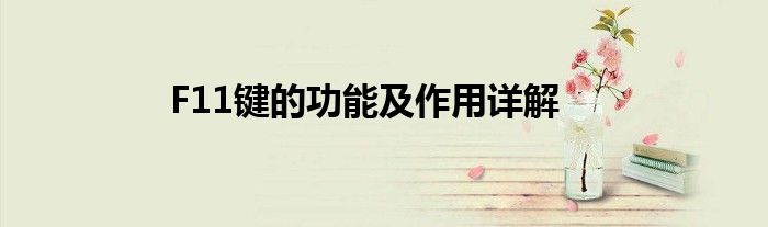 F11键的功能及作用详解