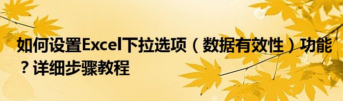 如何设置Excel下拉选项（数据有效性）功能？详细步骤教程