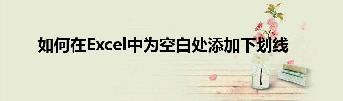 如何在Excel中为空白处添加下划线