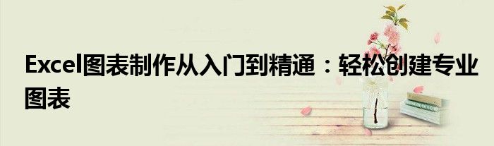 Excel图表制作从入门到精通：轻松创建专业图表