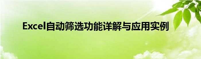 Excel自动筛选功能详解与应用实例
