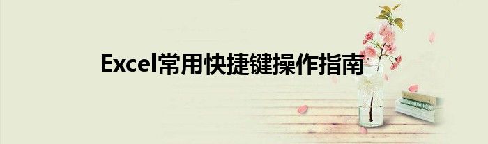 Excel常用快捷键操作指南
