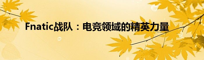 Fnatic战队：电竞领域的精英力量