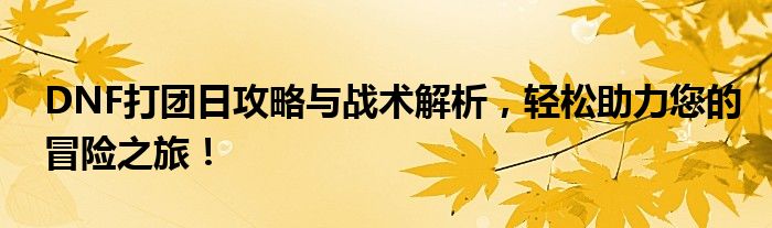 DNF打团日攻略与战术解析，轻松助力您的冒险之旅！