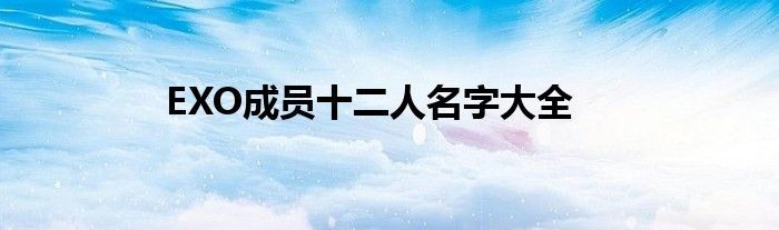EXO成员十二人名字大全