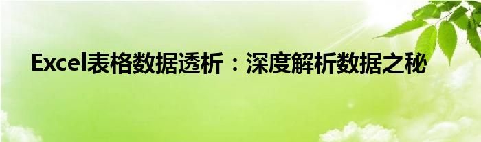 Excel表格数据透析：深度解析数据之秘