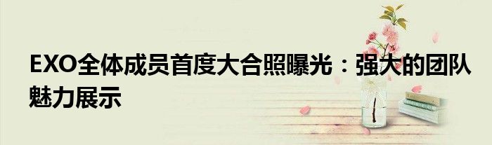 EXO全体成员首度大合照曝光：强大的团队魅力展示
