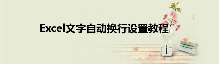 Excel文字自动换行设置教程