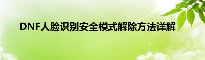 DNF人脸识别安全模式解除方法详解