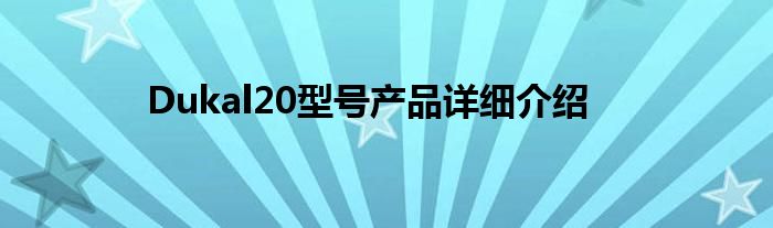 Dukal20型号产品详细介绍