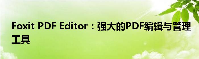 Foxit PDF Editor：强大的PDF编辑与管理工具