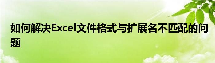 如何解决Excel文件格式与扩展名不匹配的问题