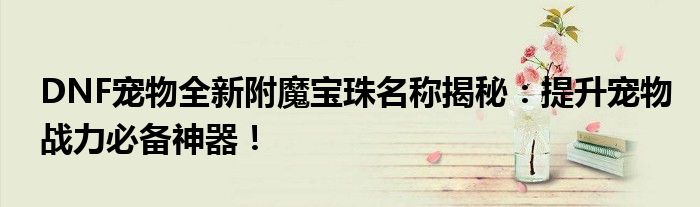 DNF宠物全新附魔宝珠名称揭秘：提升宠物战力必备神器！