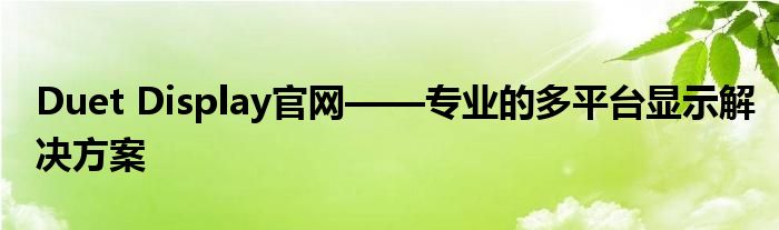 Duet Display官网——专业的多平台显示解决方案